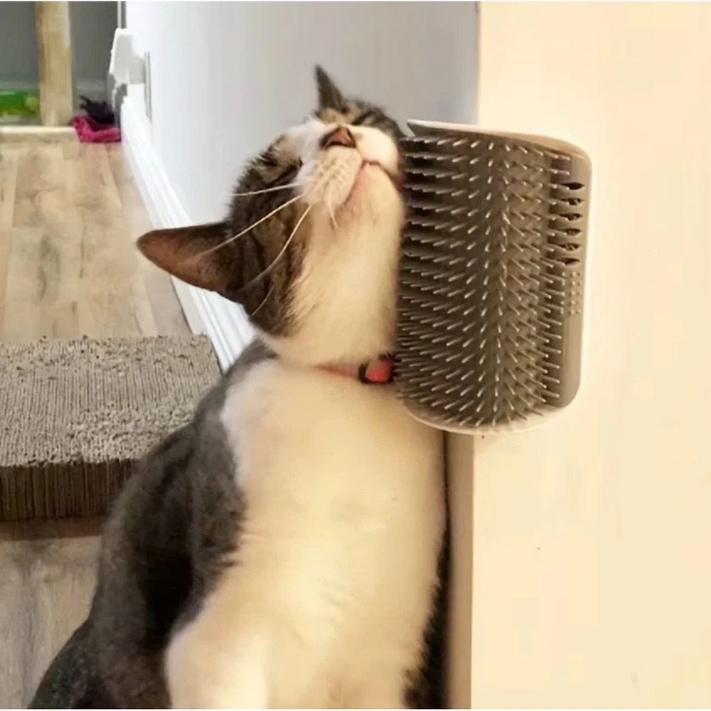 Cat Self Groomer with Massage Comb Brush - Perfect for Kitten and Puppy Grooming